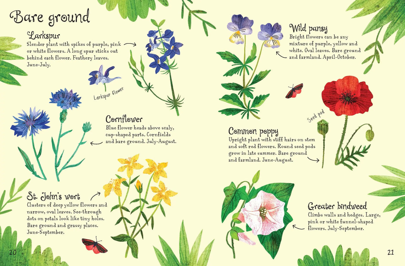 Usborne Flowers to spot book for kids