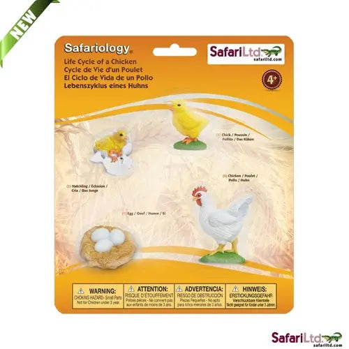 Safari Ltd Life Cycle Of a Chicken – Beesybox