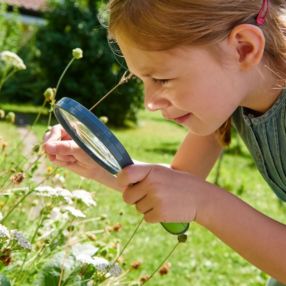 Nature Explorers