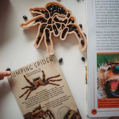 Jumping Spider Eco Cutter