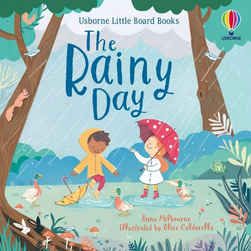 Usborne Little Board Books: The Rainy Day