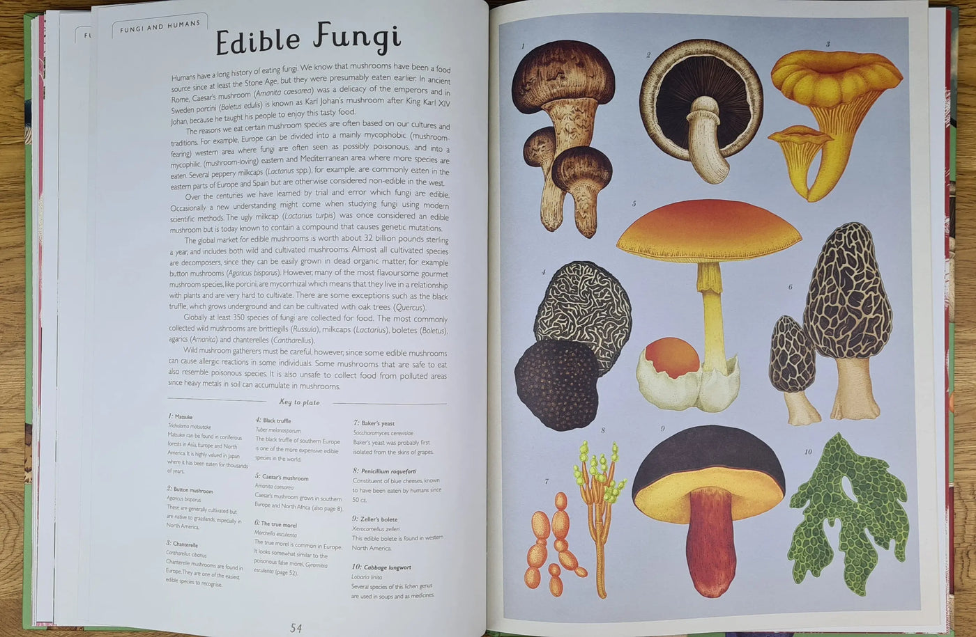 Fungarium book