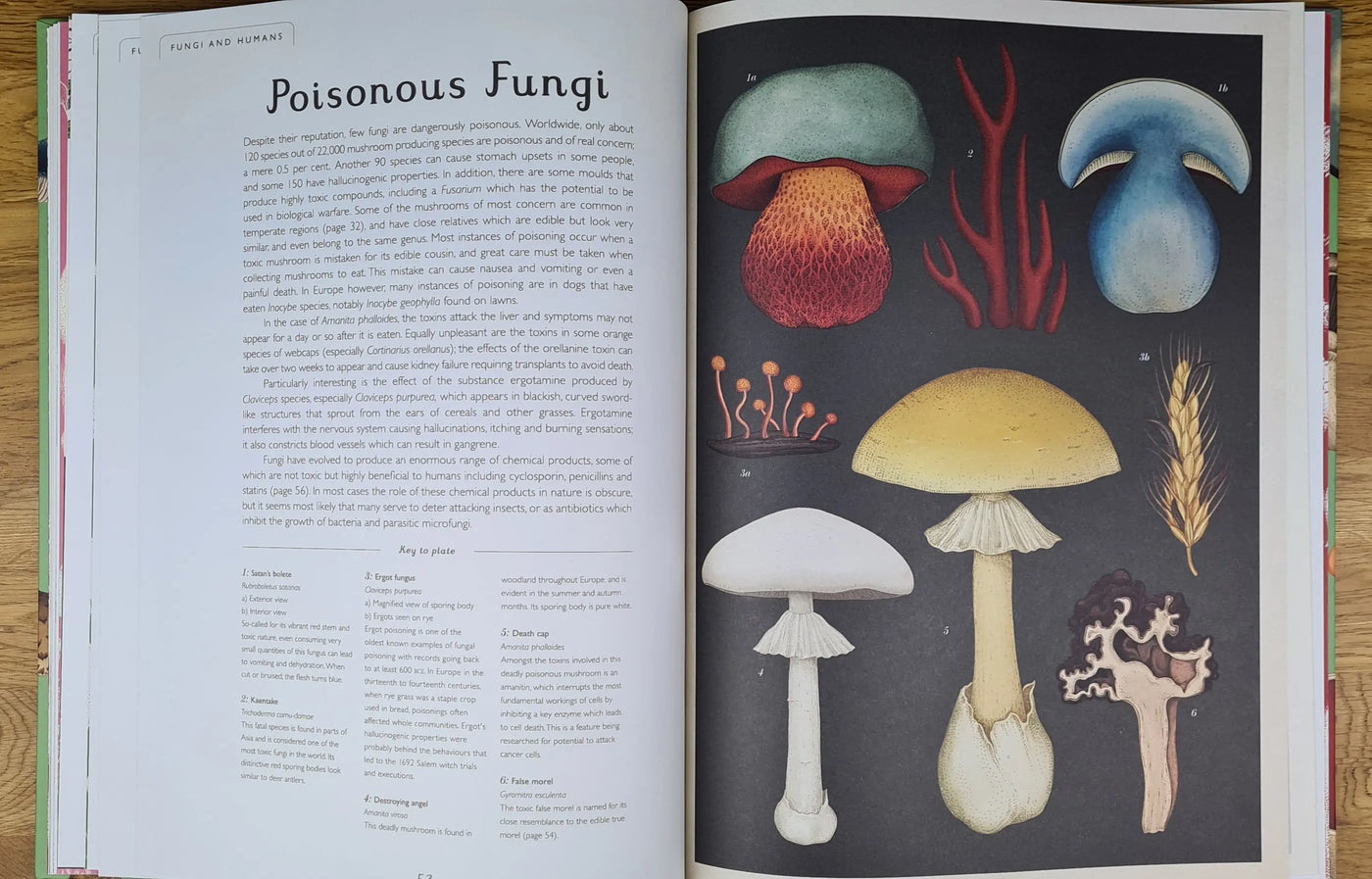 Fungarium book