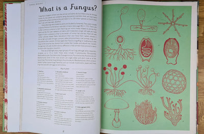 Fungarium book