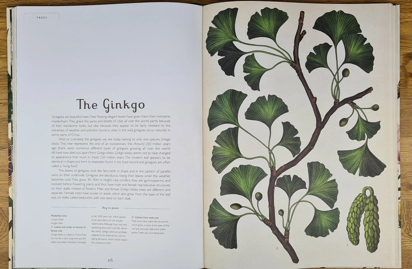 Botanicum book