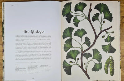 Botanicum book