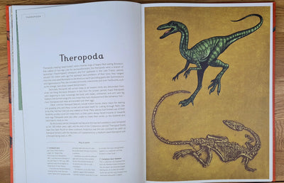 Dinosaurium book