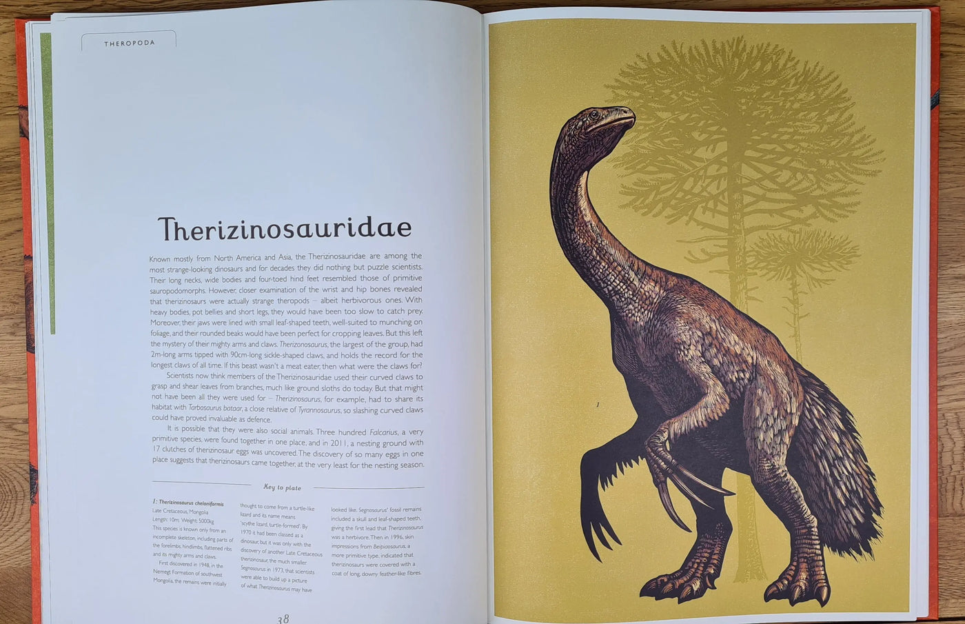 Dinosaurium book