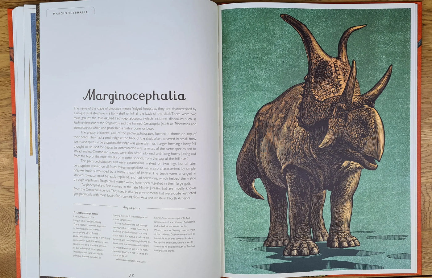 Dinosaurium book