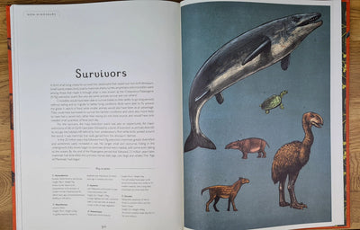 Dinosaurium book