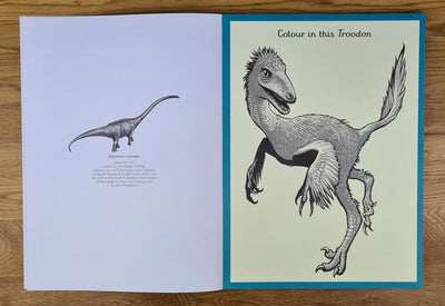 Dinosaurium activity book