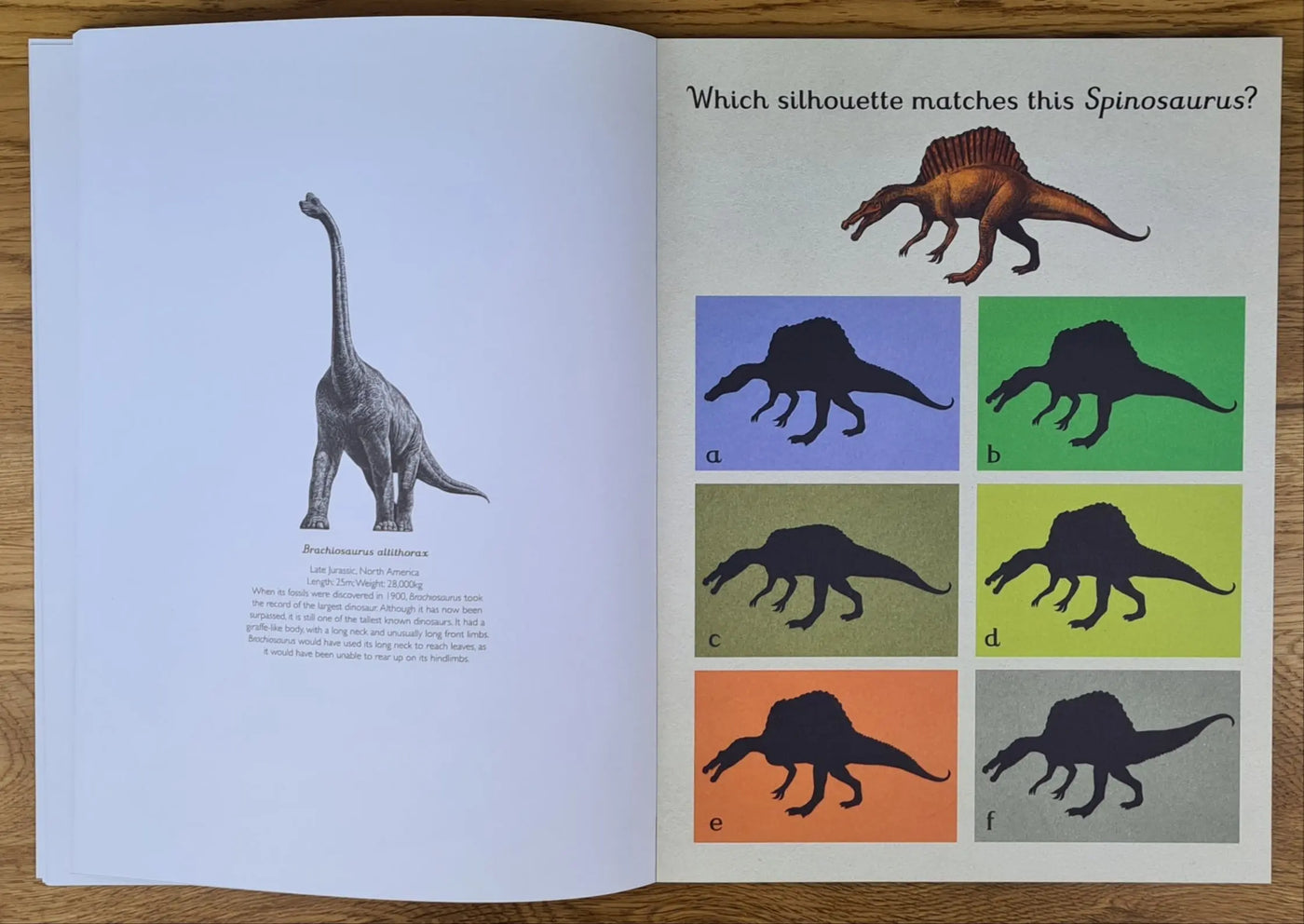 Dinosaurium activity book