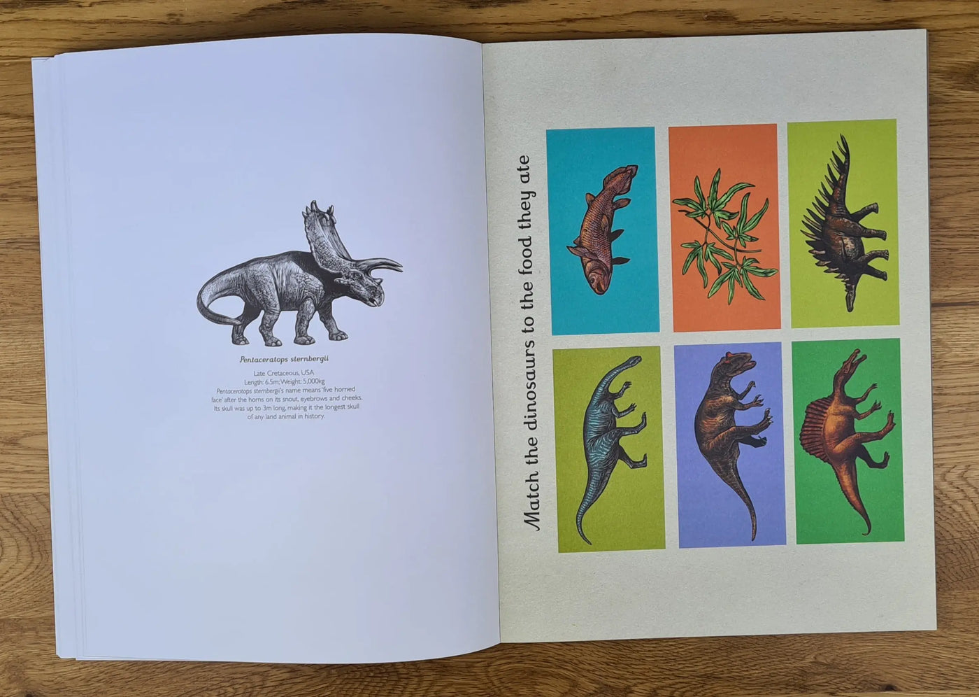 Dinosaurium activity book