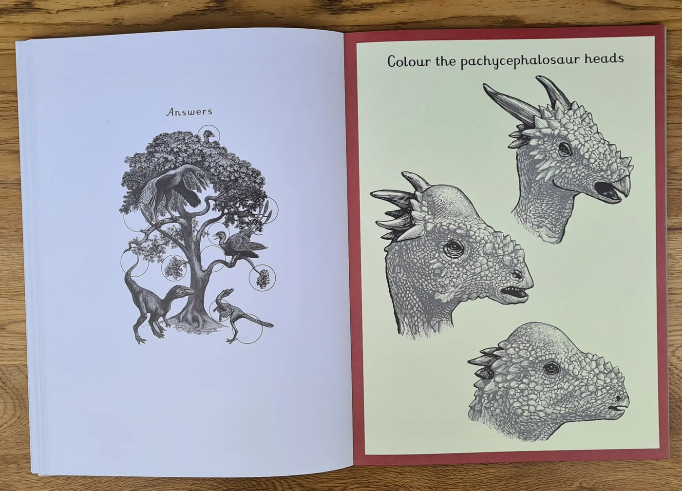 Dinosaurium activity book