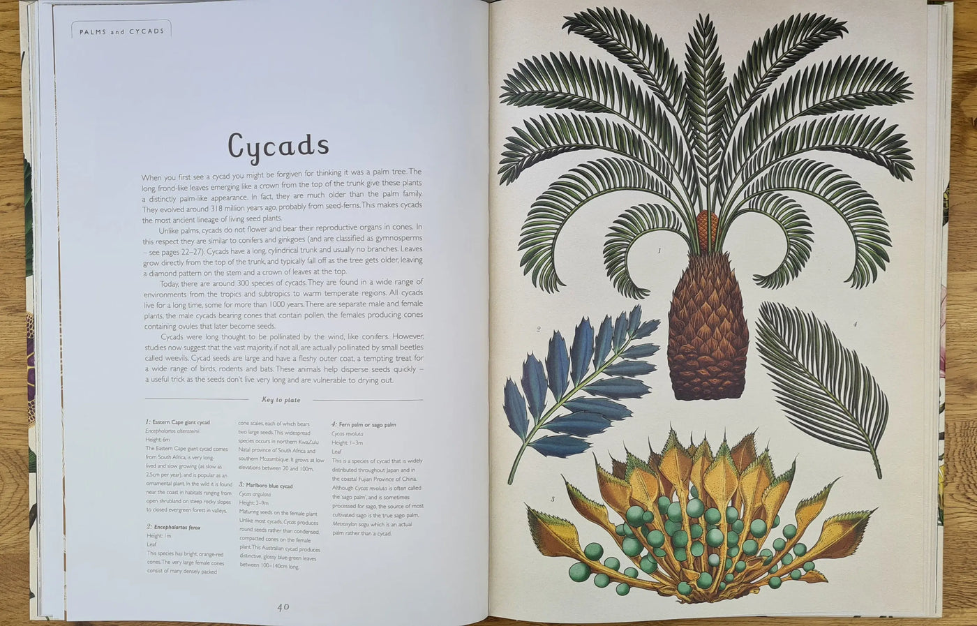 Botanicum book