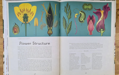 Botanicum book