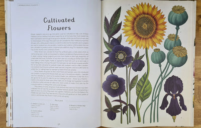 Botanicum book