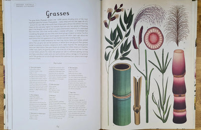 Botanicum book