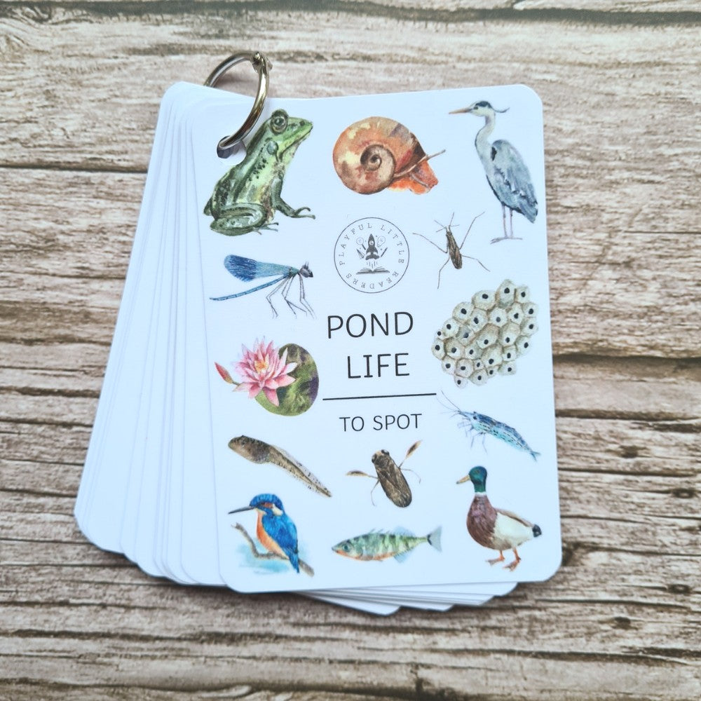 Pond Life Flashcards