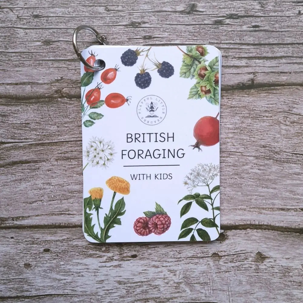 British Foraging Flashcards – Beesybox