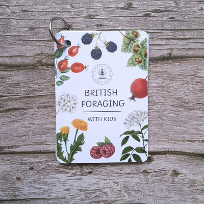 British Foraging Flashcards