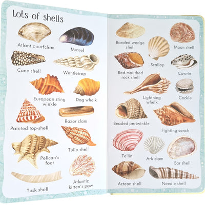 Usborne 199 Things At The Seaside