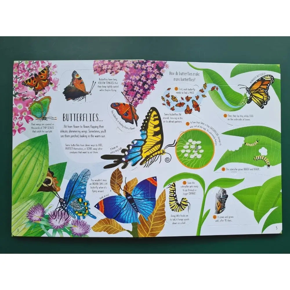 Usborne Lift-the-Flap Bugs and Butterflies