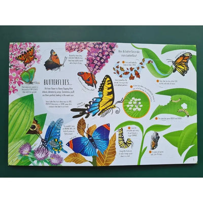 Usborne Lift-the-Flap Bugs and Butterflies