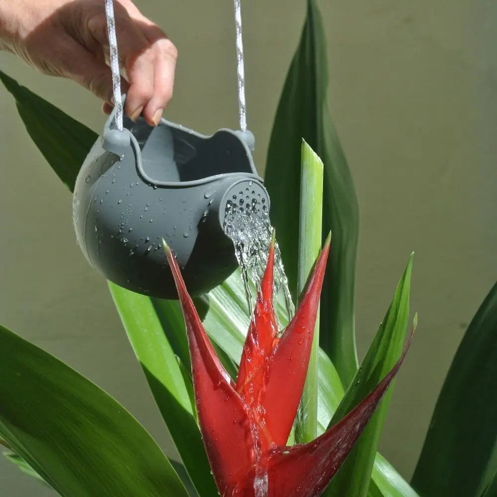 Scrunch Watering Can - Anthracite Grey