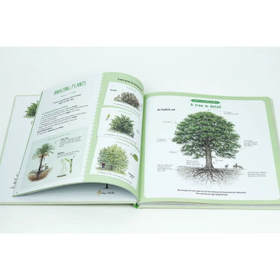 The Book of Amazing Trees