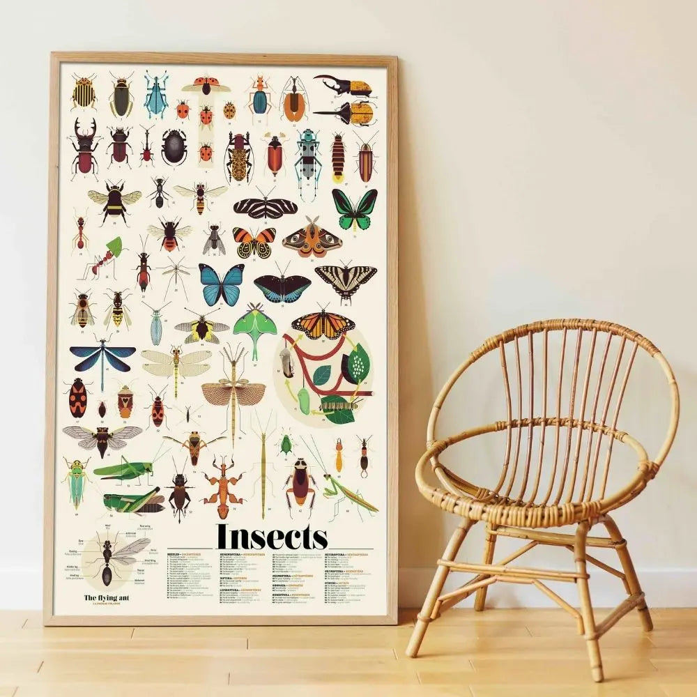 Poppik Discovery Sticker Poster - Insects
