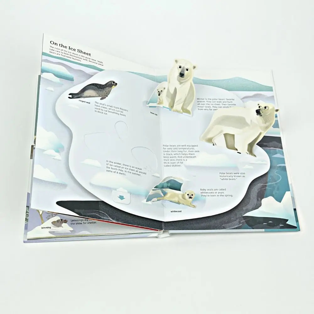 Ultimate Spotlight  Polar Animals