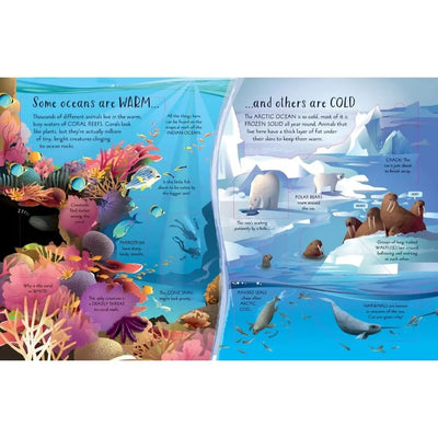 Usborne See Inside Oceans