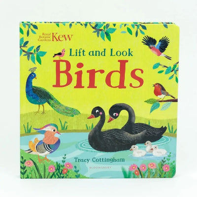 Lift and Look: Birds