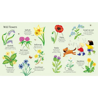 Usborne Poppy and Sam's Nature Spotting Book