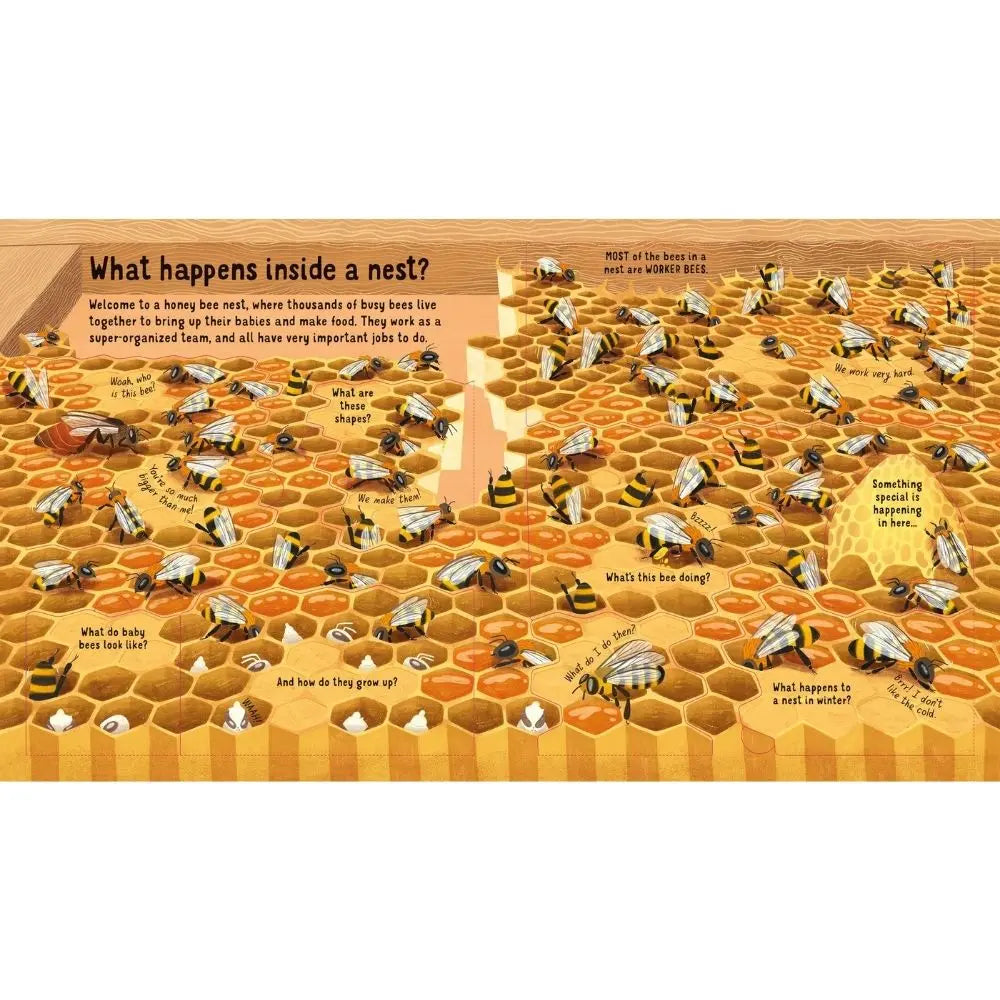 Usborne Look Inside the World of Bees