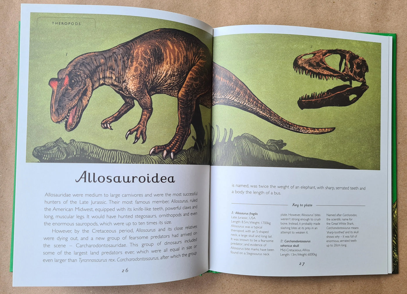 Dinosaurium Junior Edition