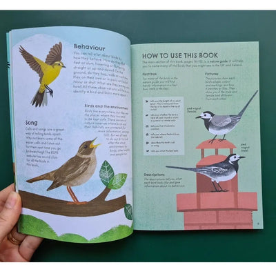 RSPB Nature Guide: Birds