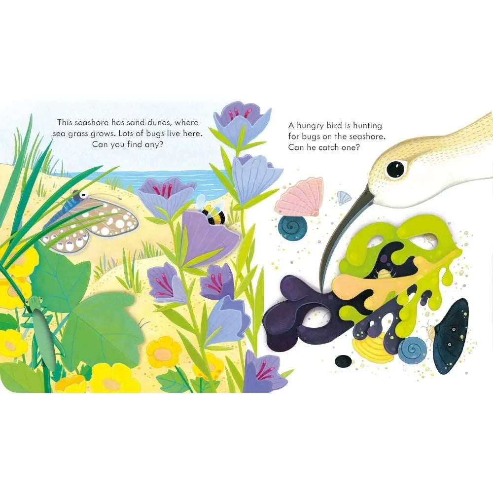 Usborne Peep Inside the Seashore