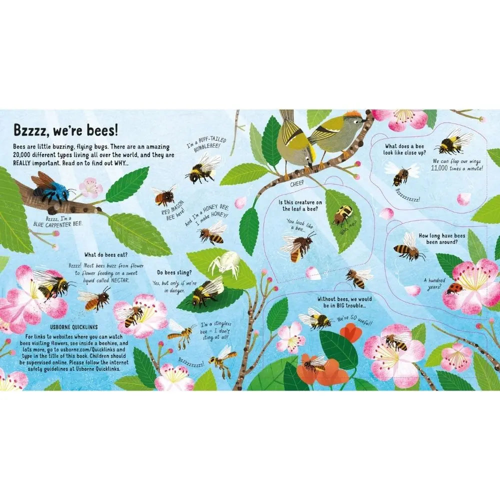 Usborne Look Inside the World of Bees