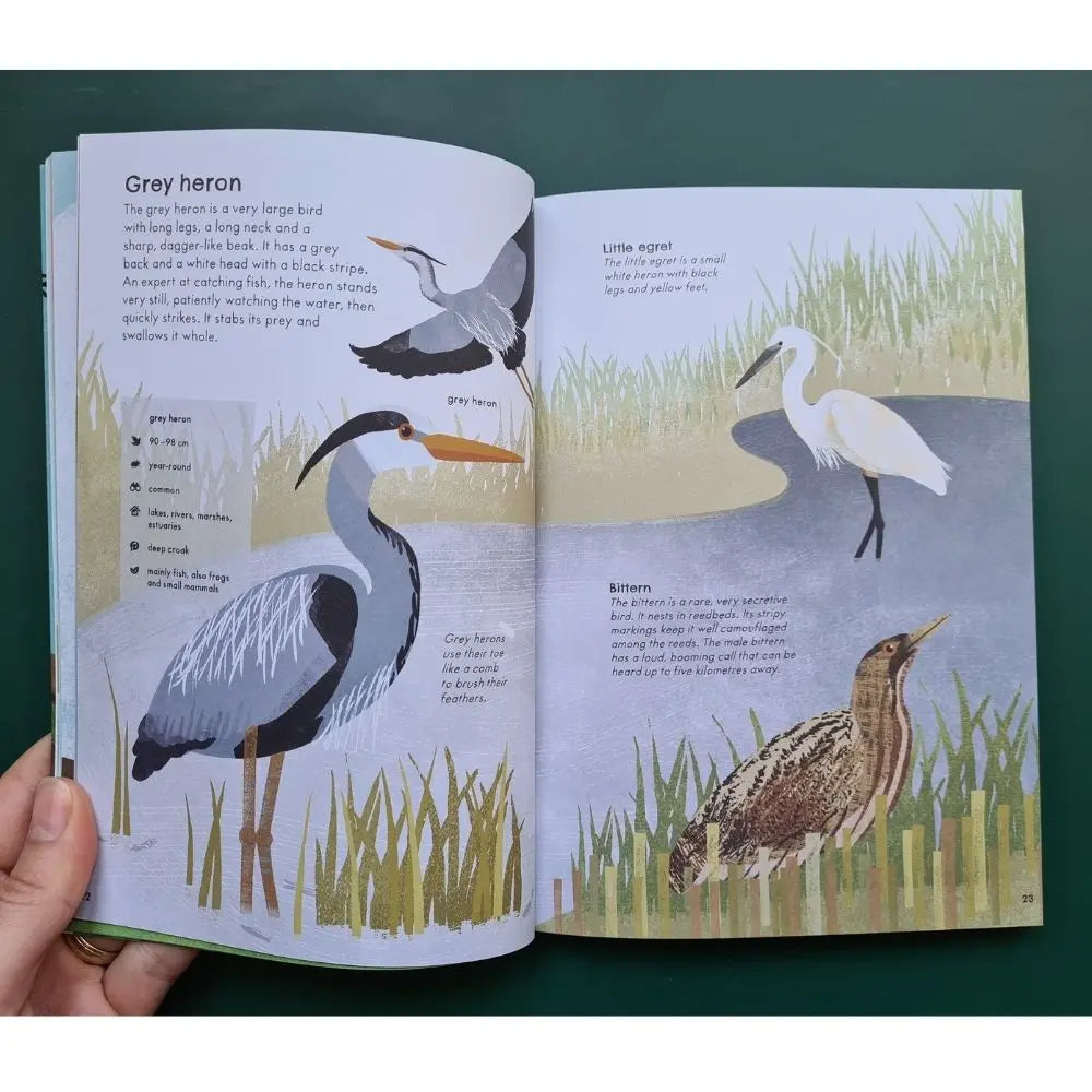 RSPB Nature Guide: Birds