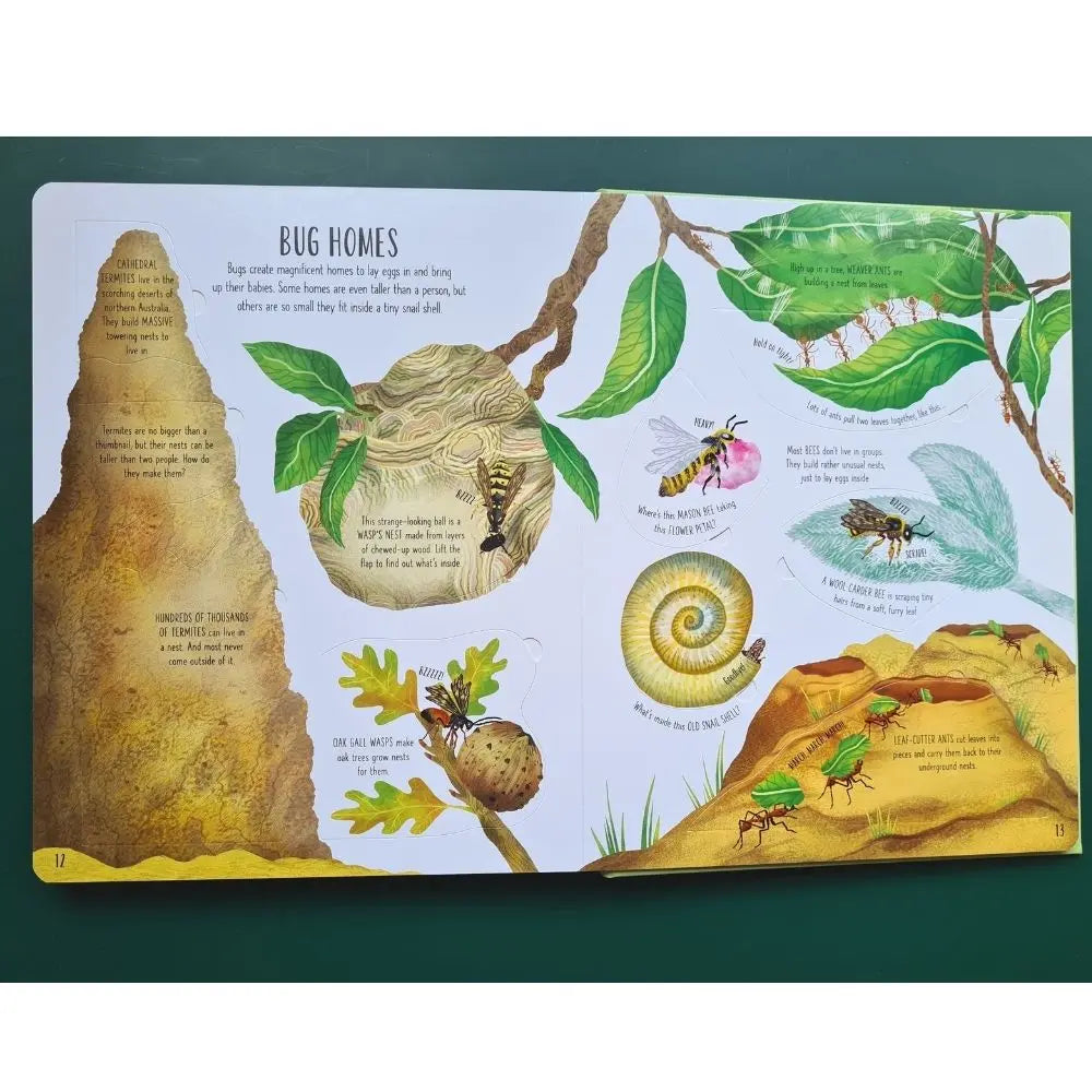 Usborne Lift-the-Flap Bugs and Butterflies