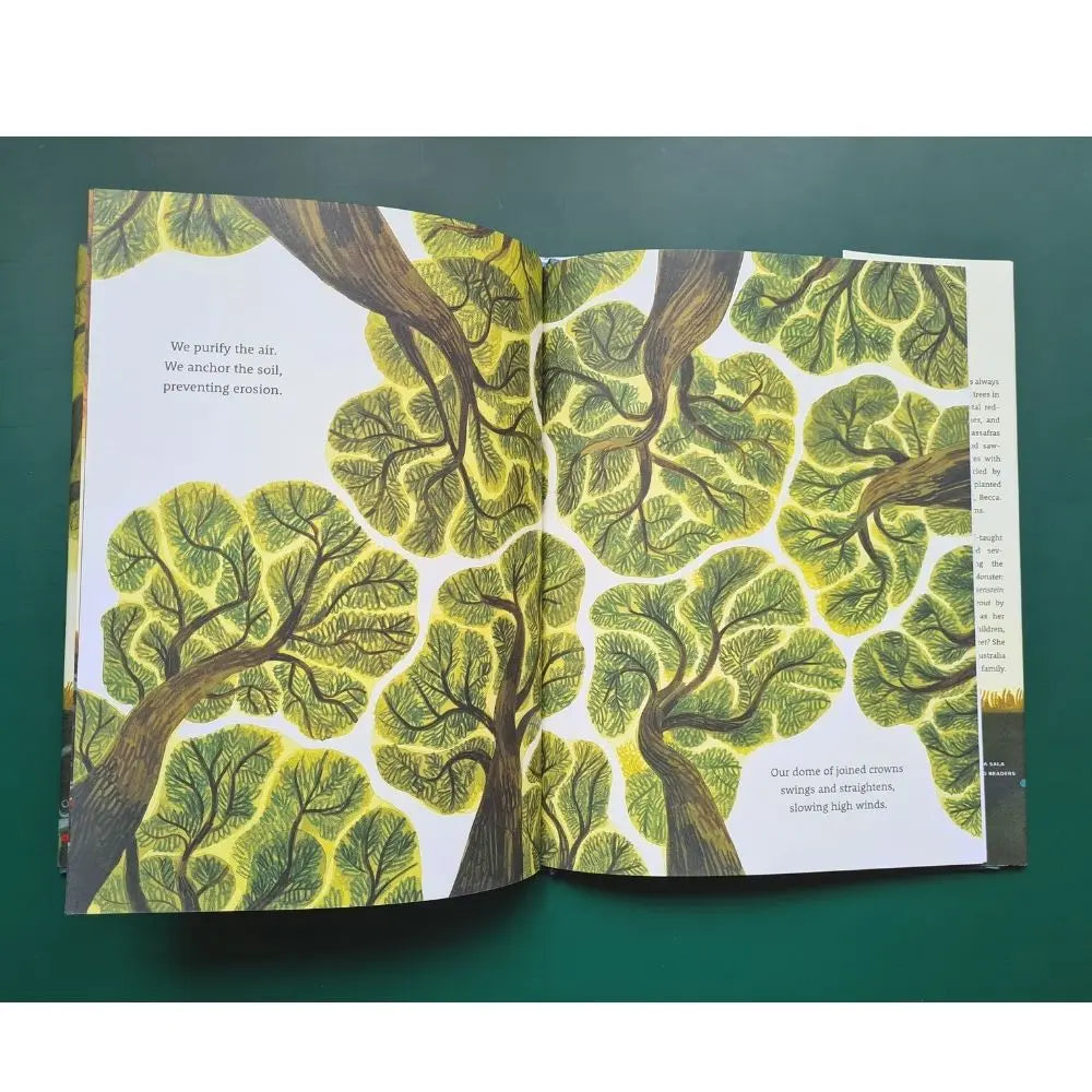 Be a Tree! – Beesybox