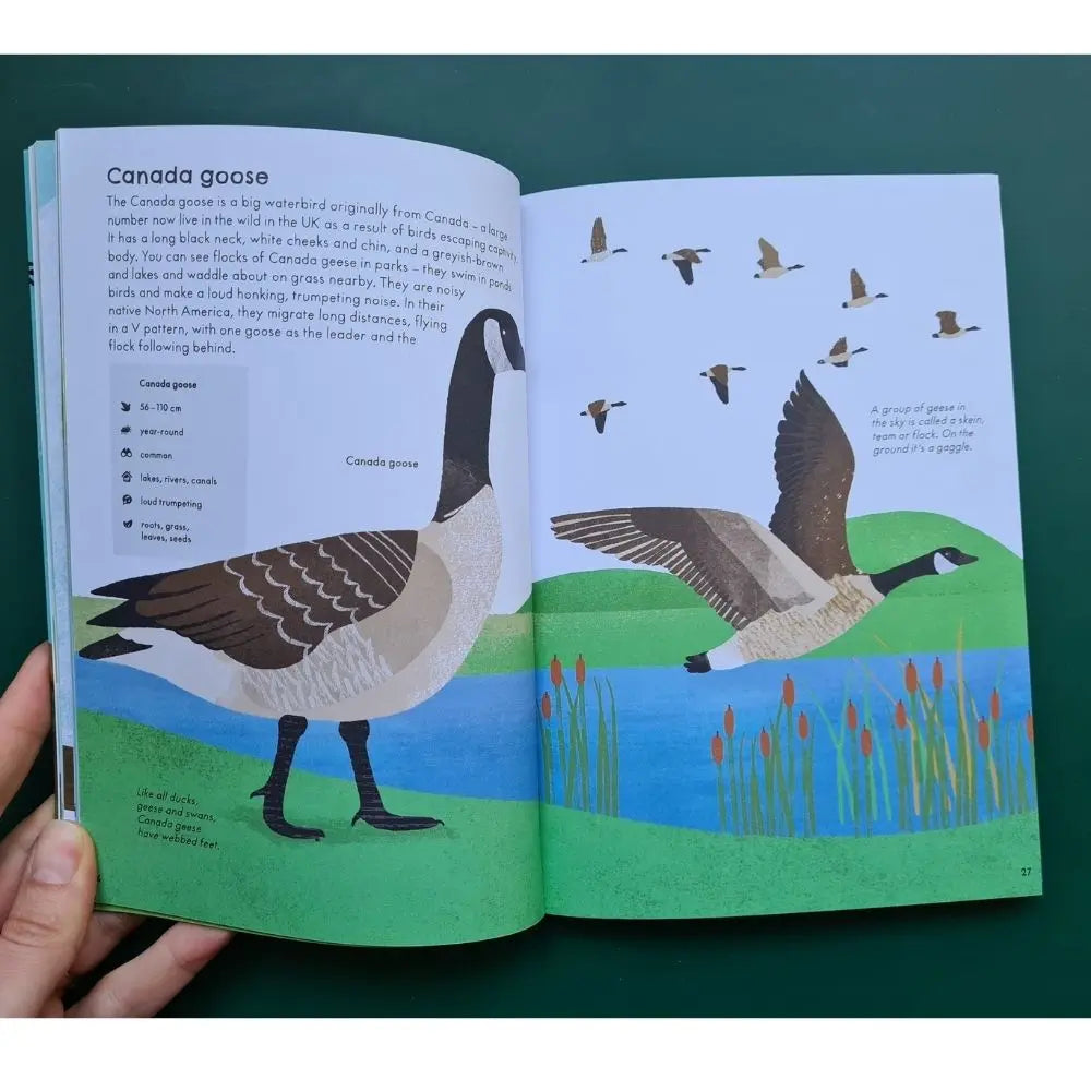 RSPB Nature Guide: Birds