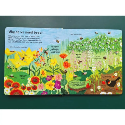 Usborne Look Inside the World of Bees