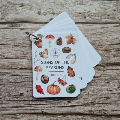 Signs of the Season Flashcards - Autumn