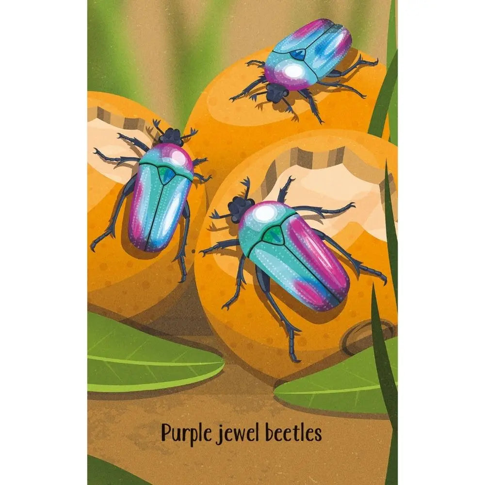 Usborne Bugs Snap