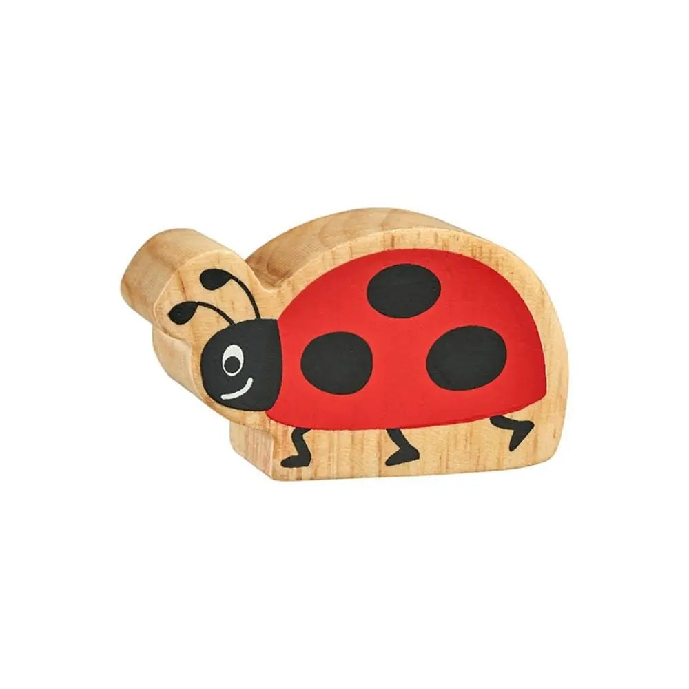 Lanka Kade Red and Black Ladybird