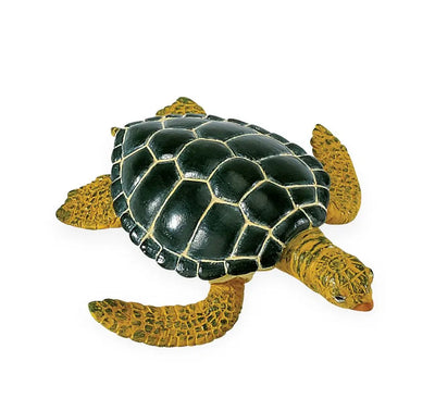 Safari Ltd Life cycle of green sea turtle