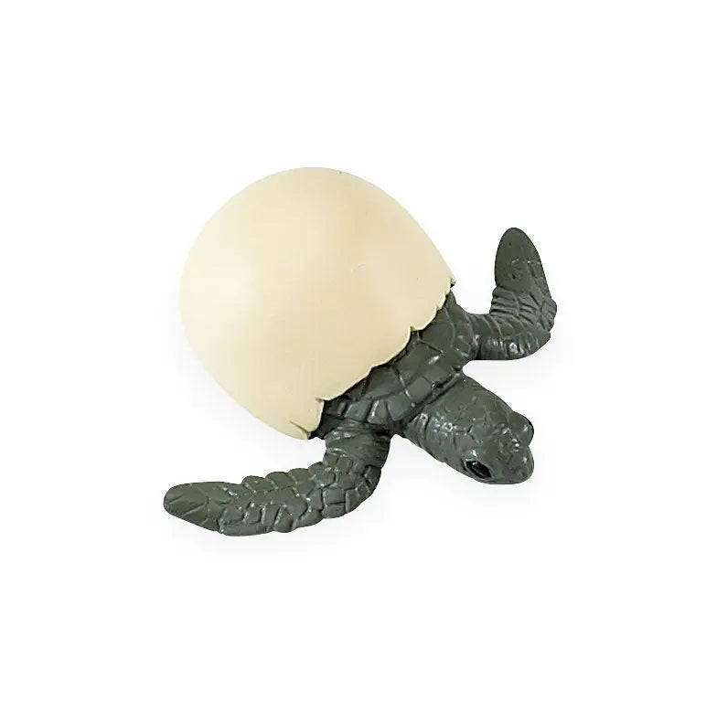 Safari Ltd Life cycle of green sea turtle